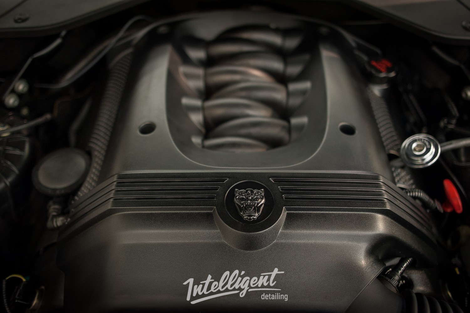 мойка мотора паром Jaguar XJ intelligent detailing